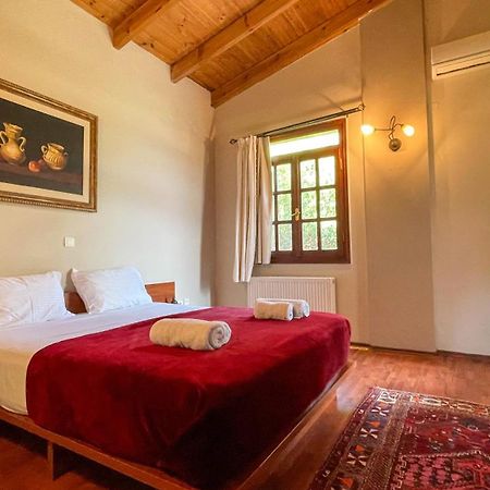 Villa Skine With Private Pool And Garden Chania  Exterior photo